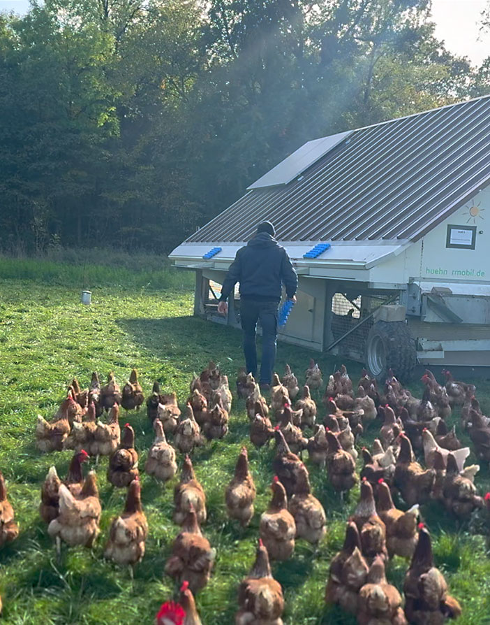 Ein Landwirt geht durch eine Gruppe freilaufender Hühner auf einer grünen Wiese, im Hintergrund steht ein mobiler Hühnerstall.