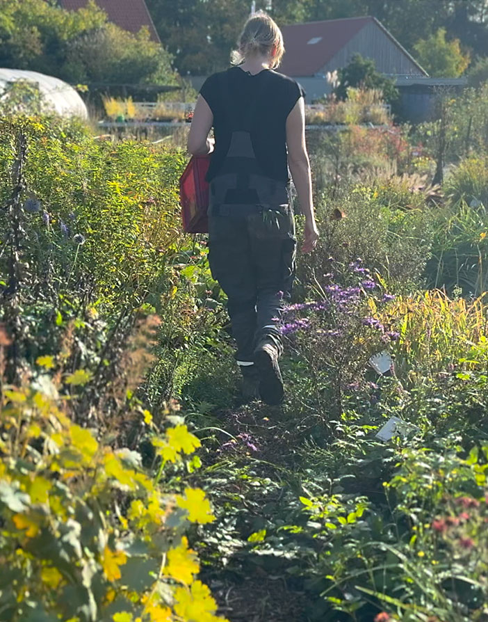 Eine Person trägt einen Korb und geht durch einen üppigen Kräutergarten voller verschiedener Pflanzen und Blumen, bei hellem Sonnenlicht.